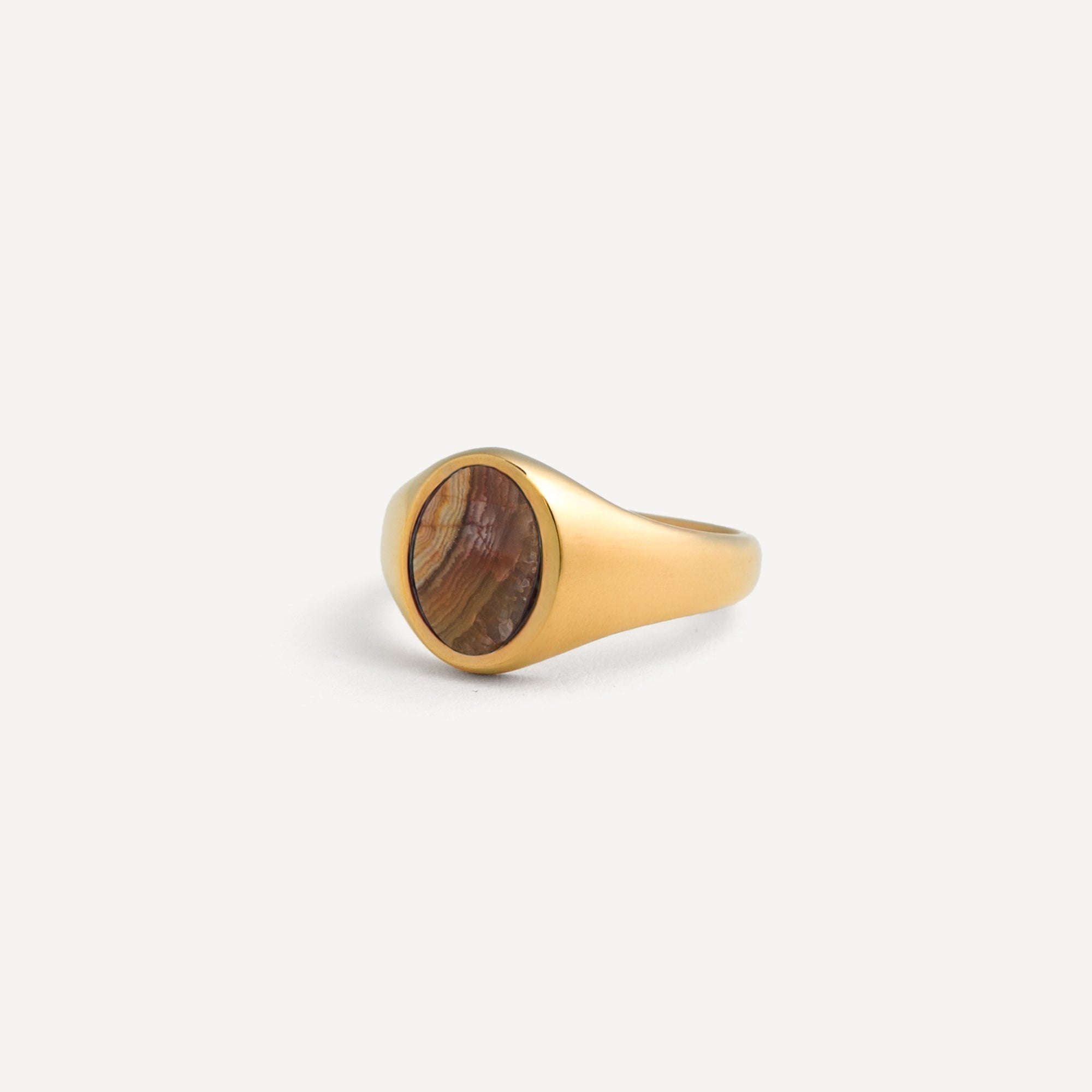 Crazy Onyx Signet Ring - Gold