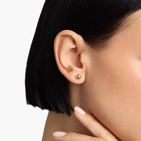 Bead Ball Stud Earrings in 14k Yellow Gold (6mm)